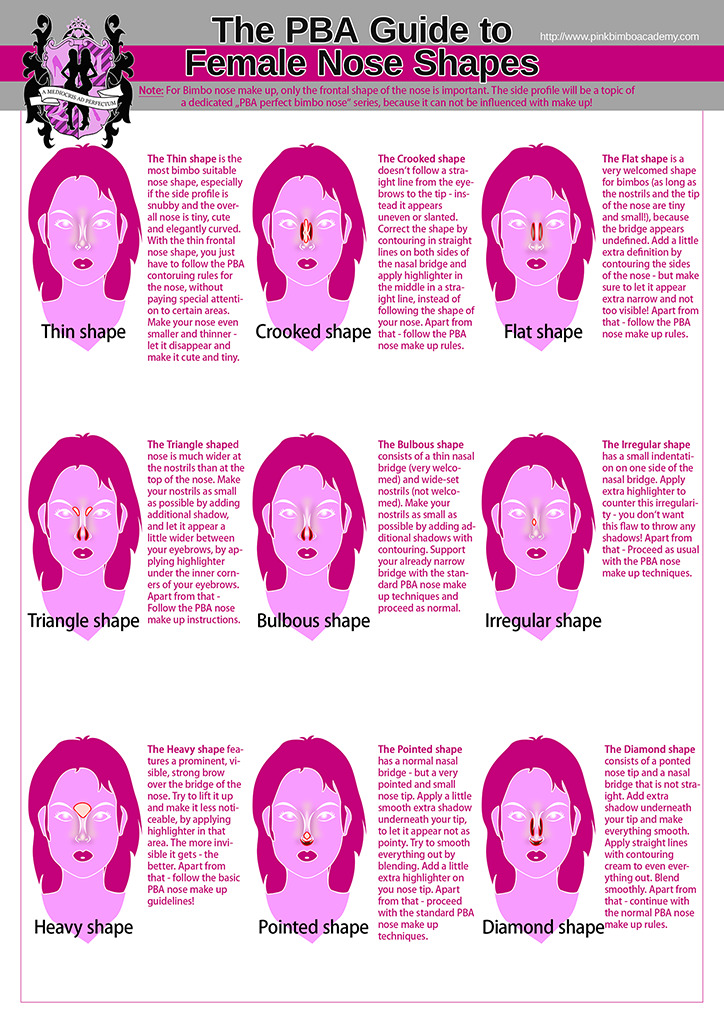 The Pba Guide To Bimbo Makeup Aspects Nose Pink Bimbo Academy